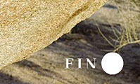 Fin