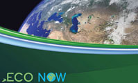 Eco Now